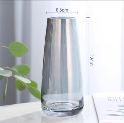 北欧现代风清新花瓶摆件现代简约风客厅插花花期桌面摆放 商品图1