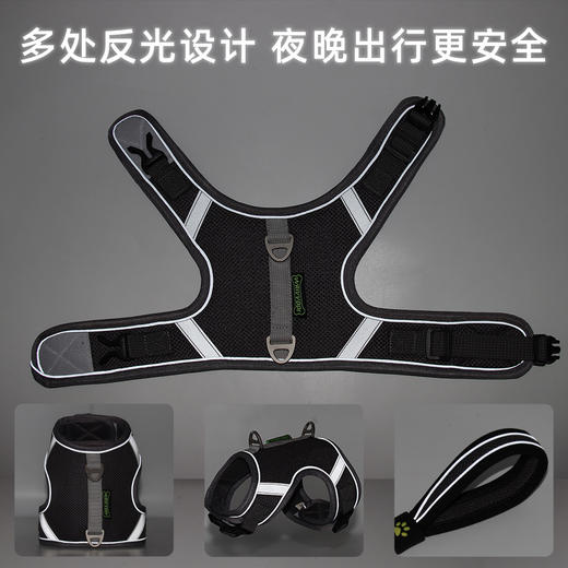 【特价清仓】宠物反光网布胸背带含牵引绳1.5米 夜间反光 双D扣网眼 舒适透气犬猫通用 商品图2