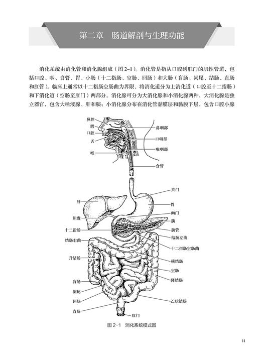 当代短肠综合征治疗学 李幼生 短肠综合征药物治疗内科康复外科康复及肠移植进展临床手术预防 人民卫生出版社9787117329323 商品图4