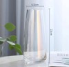北欧现代风清新花瓶摆件现代简约风客厅插花花期桌面摆放 商品缩略图2