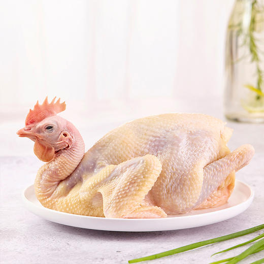 天农138纯种清远鸡1kg 6优生态农场长天龄散养 供港品质 商品图2