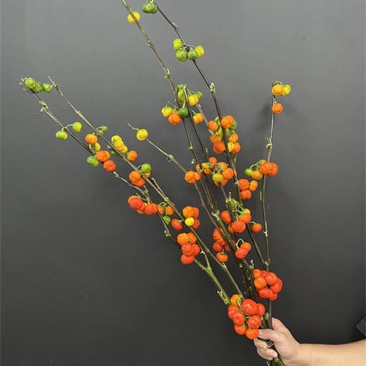 小南瓜鲜切花一扎 商品图1