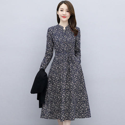 单/针织开衫套装裙子两件套2022秋季新款收腰显瘦中长款A字连衣裙dp440 商品图1