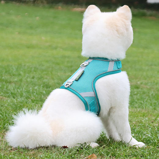 【特价清仓】宠物反光网布胸背带含牵引绳1.5米 夜间反光 双D扣网眼 舒适透气犬猫通用 商品图5