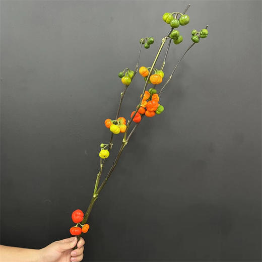 小南瓜鲜切花一扎 商品图4