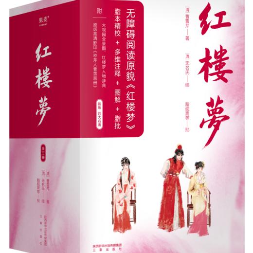 四大名著（红楼梦/三国演义/西游记/水浒传） 商品图1