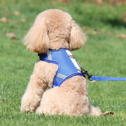 【特价清仓】宠物反光网布胸背带含牵引绳1.5米 夜间反光 双D扣网眼 舒适透气犬猫通用 商品图6