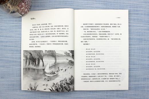 (仓发) 稻草人/河南大学出版社/叶圣陶/9787564940461 商品图3