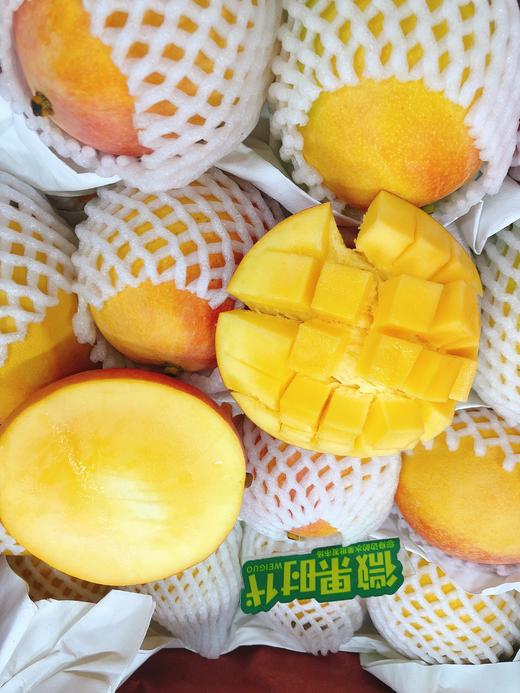 澳芒3斤（拼团） 商品图2