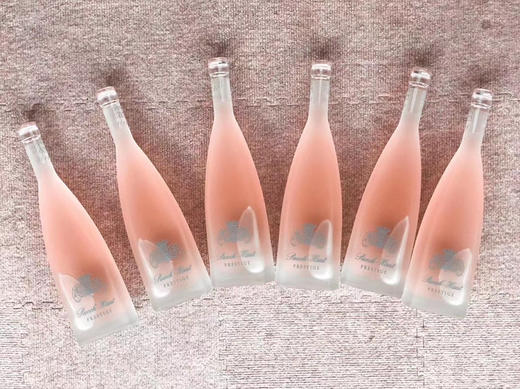 普吉奥城堡羊头桃红 2019 Chateau Puech-Haut Argali Rose 商品图2