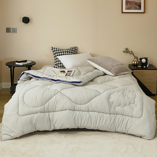 【抗菌羊毛被】羊毛被纯色澳洲羊毛被芯立体羊毛被秋冬保暖被子 商品图1