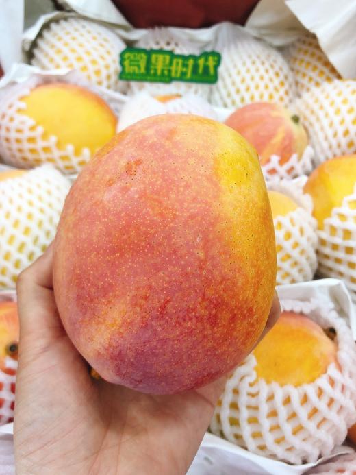 澳芒3斤（拼团） 商品图1