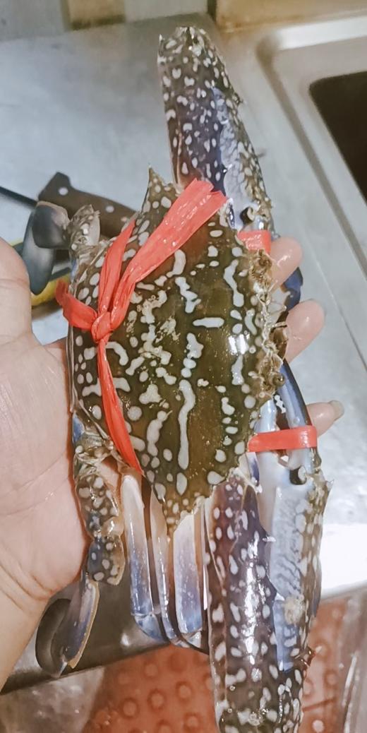 【开团大号花蟹】欧三哥香辣兰花蟹 商品图2