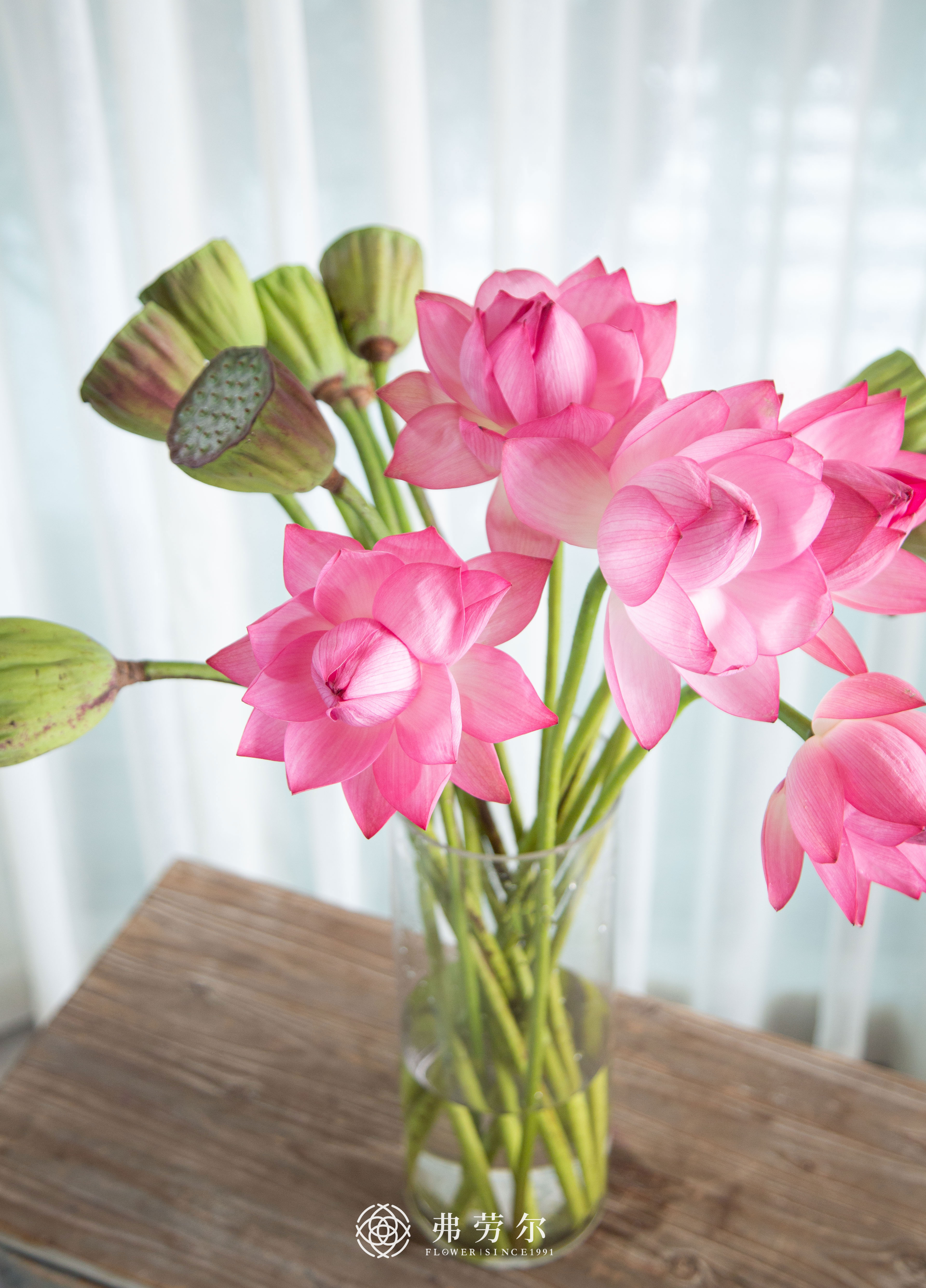 荷花+莲蓬（一支莲蓬一支荷花为一份）