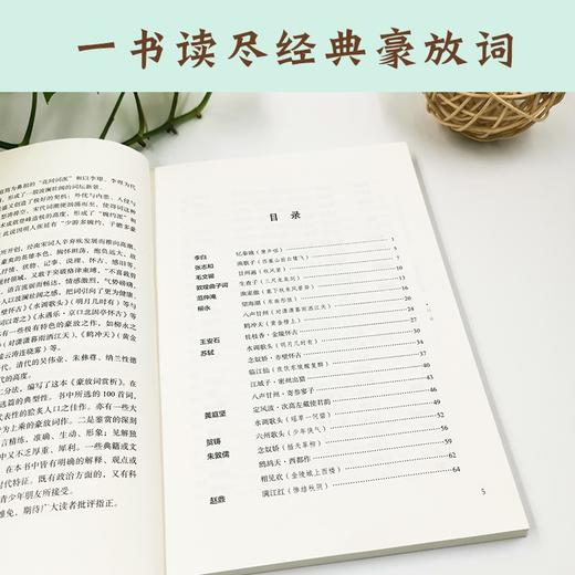 (仓发) 豪放词赏析/商务印书馆国际有限公司/9787517608486 商品图5