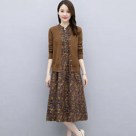 单/针织开衫套装裙子两件套2022秋季新款收腰显瘦中长款A字连衣裙dp440