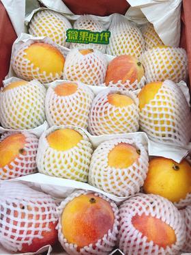 澳芒3斤（拼团）