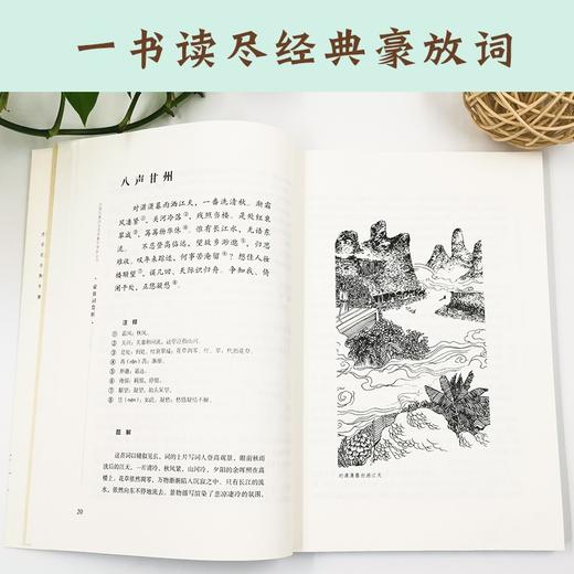 (仓发) 豪放词赏析/商务印书馆国际有限公司/9787517608486 商品图6