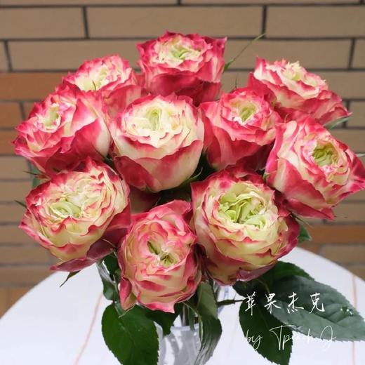 国产玫瑰-杰克苹果-20支 商品图3