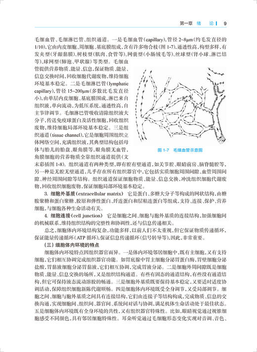 医学细胞生物学 蔡晓明 深入探讨人体细胞所处宏观结构微观结构与其功能的相互关系 临床医学 人民卫生出版社9787117331746 商品图4