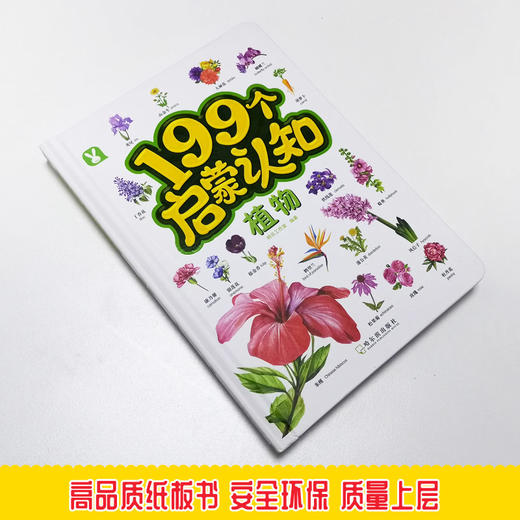 (仓发) 幼儿启蒙 199个启蒙 认知书 植物 3-6岁/哈尔滨出版社/桃乐工作室/9787548448532 商品图1