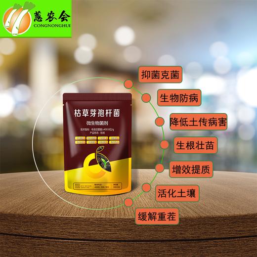 【枯草】枯草芽孢杆菌400亿/克 商品图0