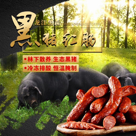 龙江黑森 黑猪红肠 商品图1
