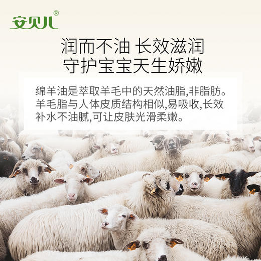 安贝儿婴儿绵羊润肤霜 商品图2