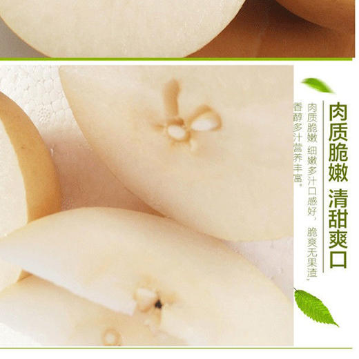 TY 鲜果组合-3种水果【鲜知20.0】 商品图3