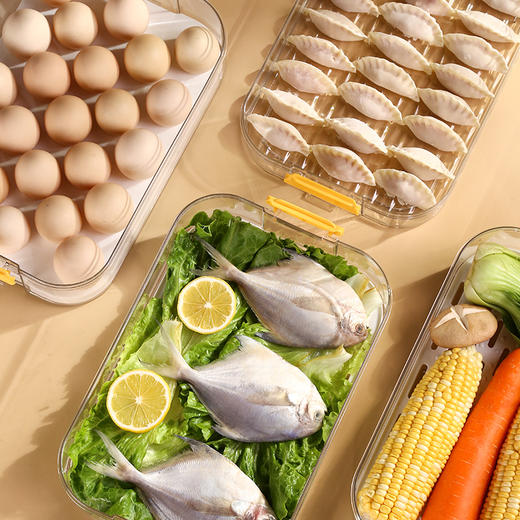 茂迪源饺子收纳盒 商品图6