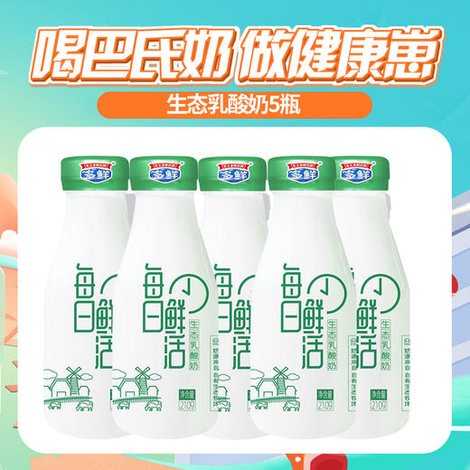 【第三届鲜奶节】生态乳酸奶5瓶 商品图0