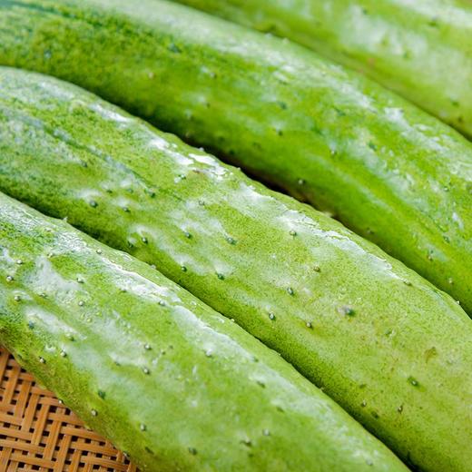放心青翠黄瓜 约250g/份 商品图3