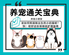 该如何照顾刚出生的小奶猫呢？快！收好这份保姆级护理指南！