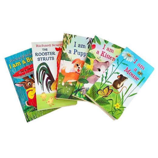 Animal Stories5册盒装 动物故事启蒙绘本 商品图2