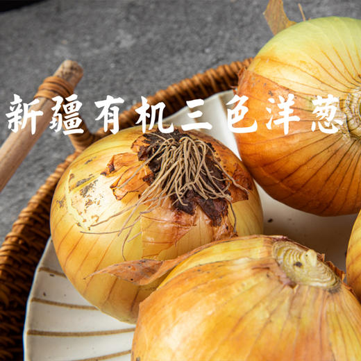 有机三色洋葱5斤装（产地：新疆）） 商品图3