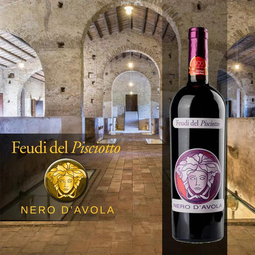 【轻奢品牌范思哲 大红虾三杯奖】费碧酒庄黑珍珠范思哲红葡萄酒 750ml/瓶 意大利原装原瓶进口 单宁强劲 酒体饱满 口感平衡【此品不参与促销活动】 商品图6