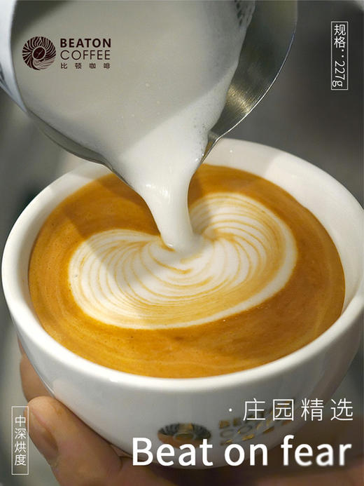 配方设计系列  beat on fear 商品图4