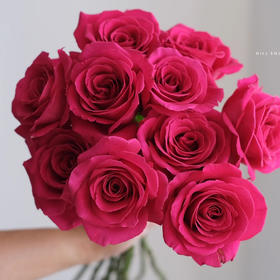 国产玫瑰-弗洛伊德-20支