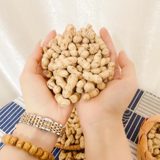 【古法手工 大铁锅现炒】宁化仁玲牌古法手工湿籽花生3袋 商品图3