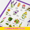 (仓发) 幼儿启蒙 199个启蒙 认知书 植物 3-6岁/哈尔滨出版社/桃乐工作室/9787548448532 商品缩略图2