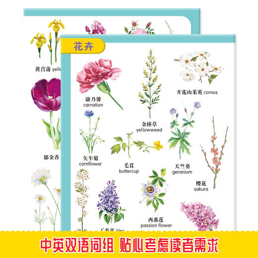 (仓发) 幼儿启蒙 199个启蒙 认知书 植物 3-6岁/哈尔滨出版社/桃乐工作室/9787548448532 商品图4