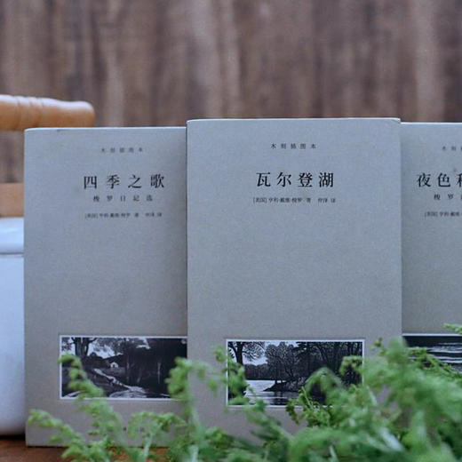 《梭罗文集：瓦尔登湖+四季之歌+夜色和月光》（全3册）亨利·戴维·梭罗 著，仲泽 译 木刻插图本 译林出版社 商品图7