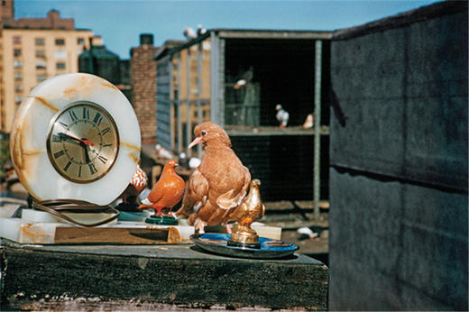 【现货】Helen Levitt | 海伦·莱维特 摄影集 商品图6