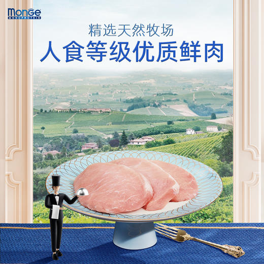 monge梦吉意大利进口高蛋白纯肉狗狗罐头 宠物湿粮狗餐盒（非质量问题，不支持7天无理由退货） 商品图2
