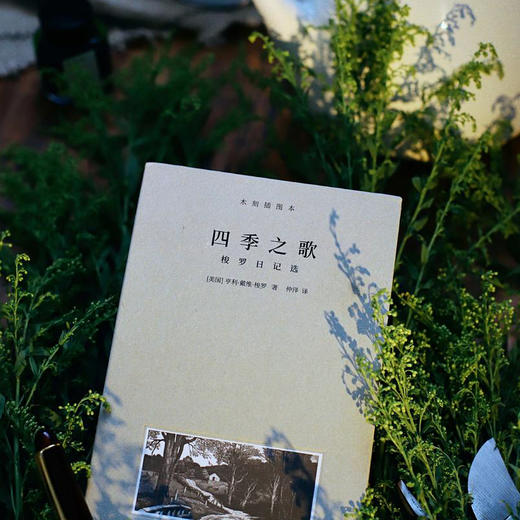 《梭罗文集：瓦尔登湖+四季之歌+夜色和月光》（全3册）亨利·戴维·梭罗 著，仲泽 译 木刻插图本 译林出版社 商品图3