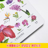 (仓发) 幼儿启蒙 199个启蒙 认知书 植物 3-6岁/哈尔滨出版社/桃乐工作室/9787548448532 商品缩略图3
