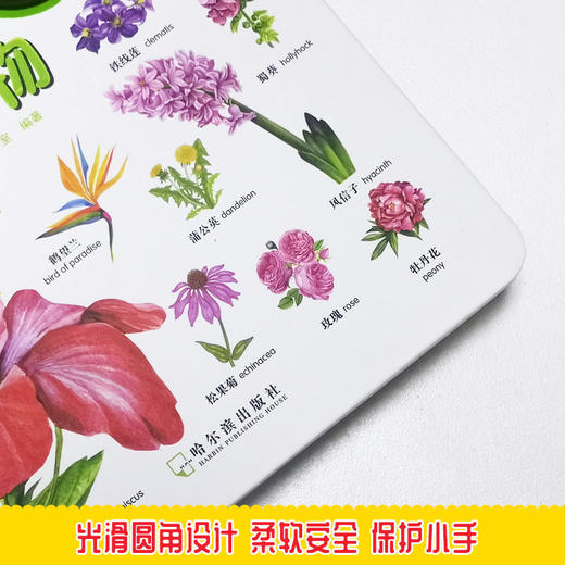 (仓发) 幼儿启蒙 199个启蒙 认知书 植物 3-6岁/哈尔滨出版社/桃乐工作室/9787548448532 商品图3