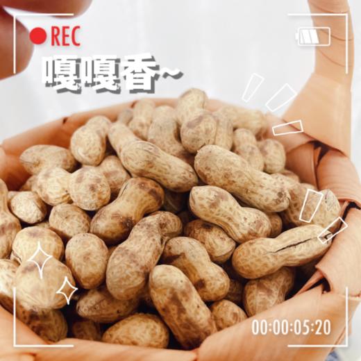 【古法手工 大铁锅现炒】宁化仁玲牌古法手工湿籽花生3袋 商品图1