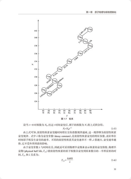 简明放射医学 放射医学国家重点学科建设项目 供临床医学预防医学和放射医学等专业用 涂彧曹建平人民卫生出版社9787117331630 商品图4