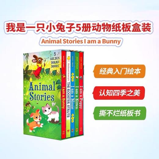 Animal Stories5册盒装 动物故事启蒙绘本 商品图0